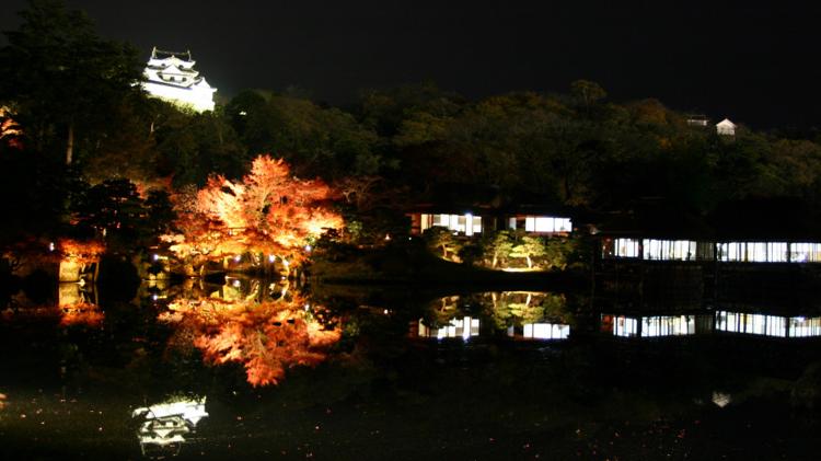 秋_玄宮園と彦根城夜のライトアップ
