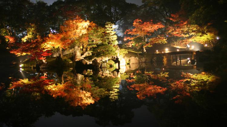秋_玄宮園夜のライトアップ