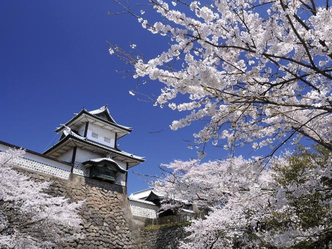 ＜金沢城公園：徒歩3分＞桜の時期には、お花見スポットとしてもとても人気です。