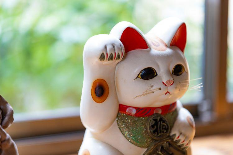 玄関に飾られた『招き猫』