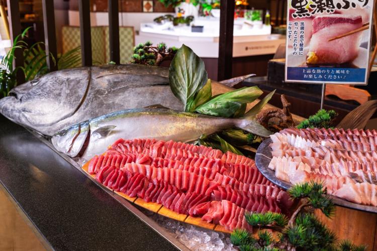 夕食バイキング／近海マグロや季節の魚など、新鮮なお刺身をお好きなだけお召し上がり下さい。（イメージ）