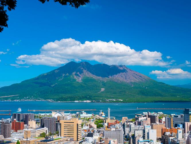 ?鹿児島観光コンベンション協会