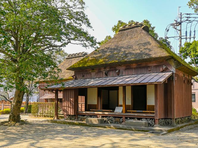 歴史ロード 維新ふるさとの道の桜?鹿児島市