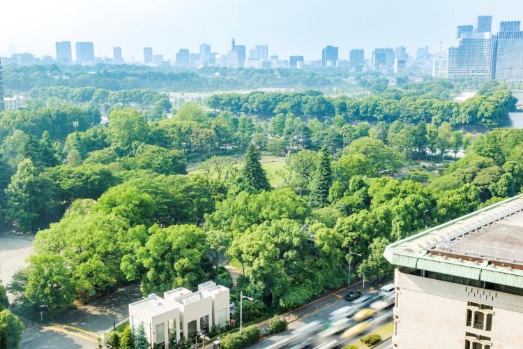 ホテルの目の前にある【日比谷公園】お散歩するのに、お勧めです！