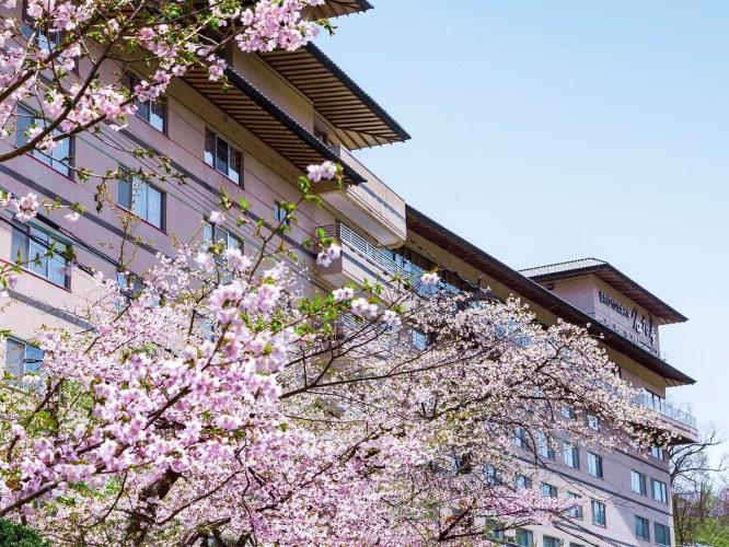 【春】当館のそばに咲くうす桃色の桜。登別の桜の名所「桜街道」の見ごろはGW頃です。
