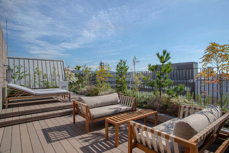 Park Suite Terrace