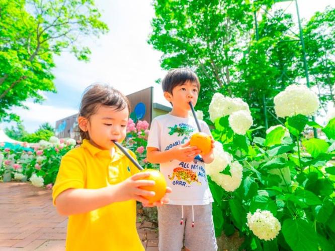 【ルースとムースの森カフェ】<BR>ランチメニュー以外にも、ドリンクやソフトクリームなどのスイーツメニューもご用意しております