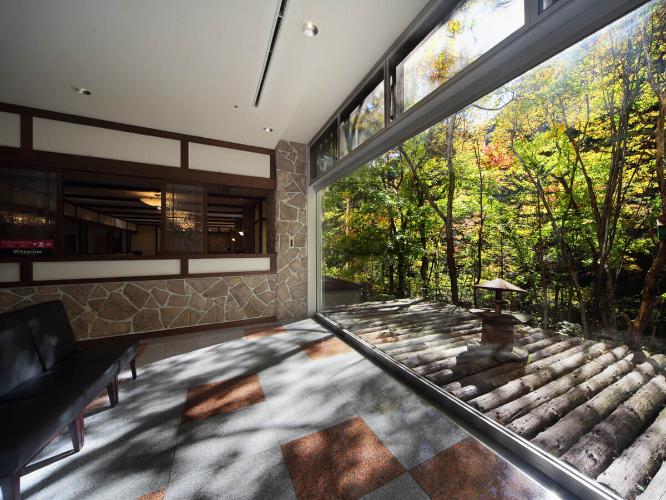 【喫茶「木もれ日」】大きな窓の向こうに広がる紅葉の風景。野鳥が訪れることもあります