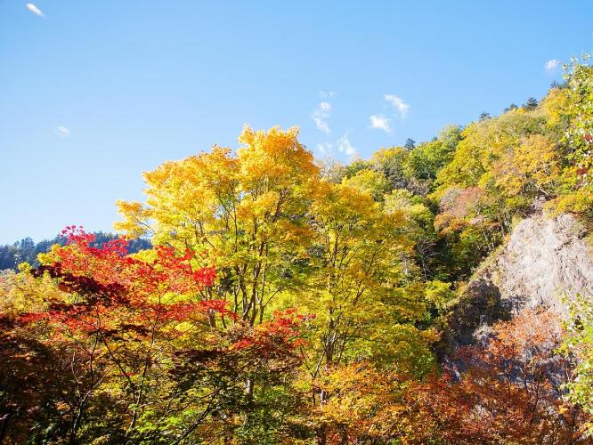 壮大な峡谷と色鮮やかな紅葉の絶景が広がる層雲峡