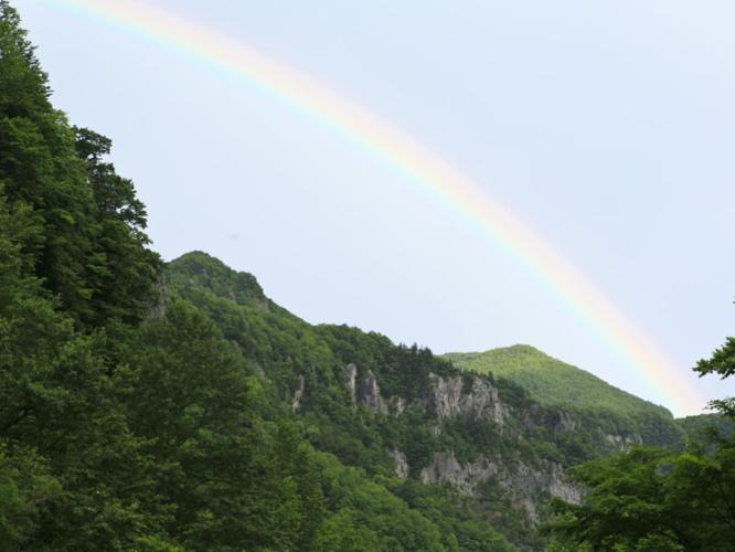 切り立った岩壁など雄大な自然を体感できる層雲峡