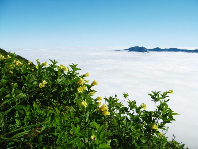 早朝の黒岳では雲海が広がる絶景に出会えるかもしれません