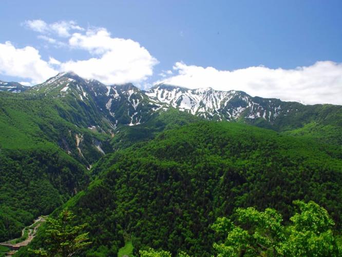 【黒岳】緑豊かな夏の黒岳