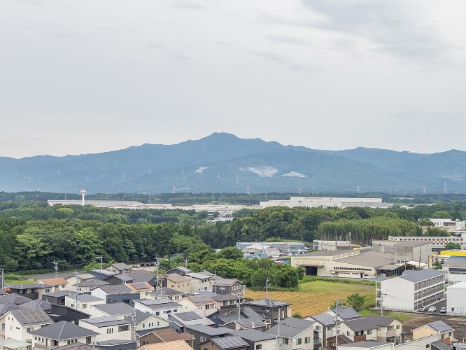 周辺の景色