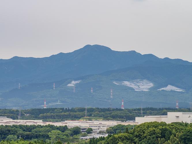 周辺の景色