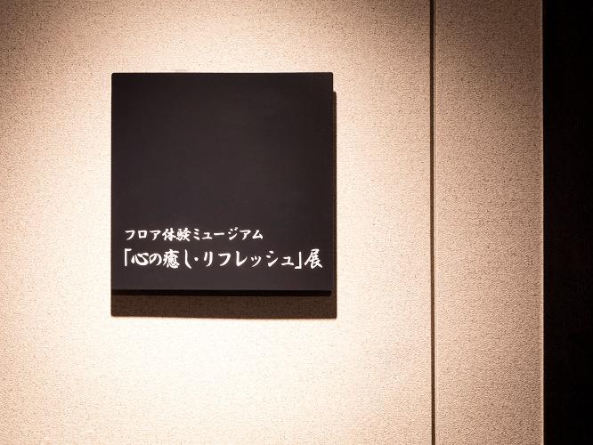 【倶楽部館体験ミュージアム】心の癒し・リフレッシュ展