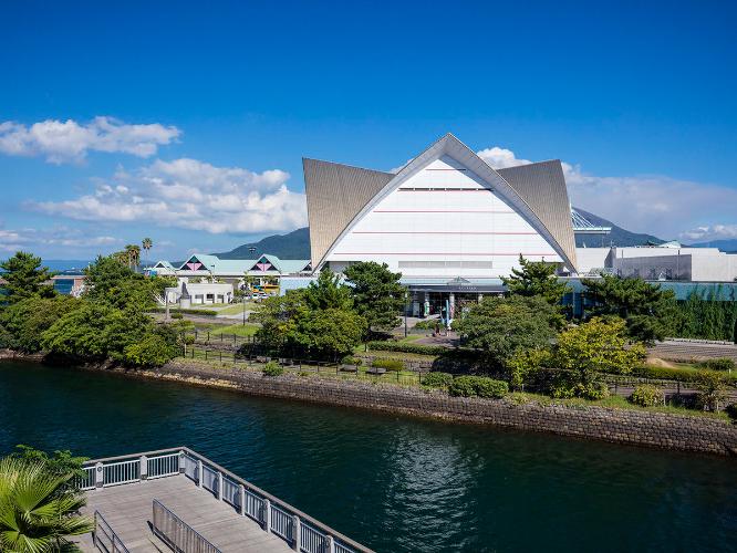かごしま水族館いおワールド　写真協力： 鹿児島観光コンベンション協会
