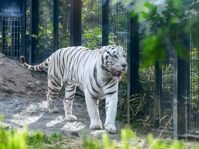 平川動物公園 　写真協力：鹿児島市