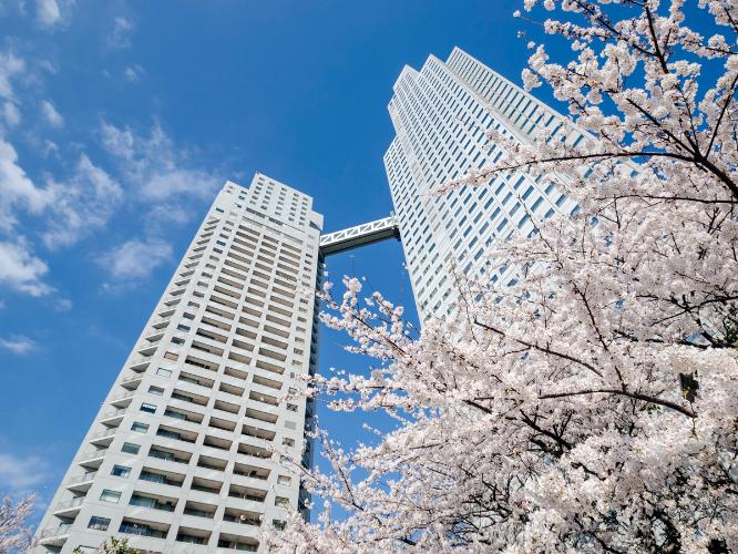 ≪銀座クレストン≫川のほとりは「隅田川テラス」として整備され、季節の花を愛でる散策もおすすめ☆