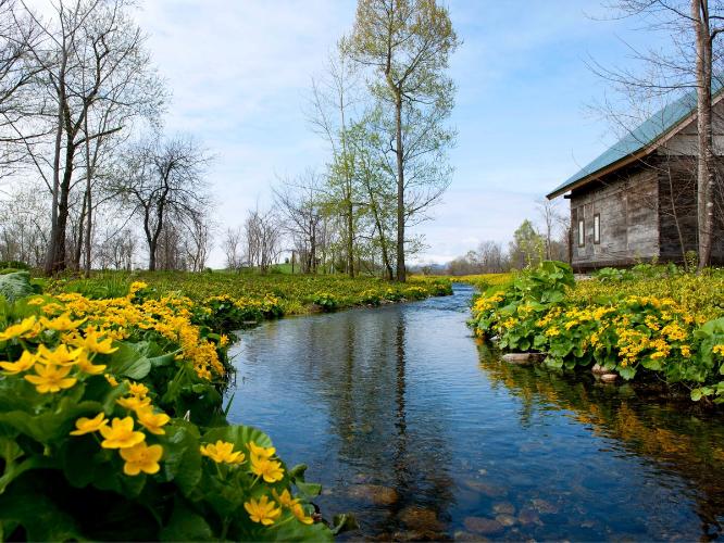 【六花の森】十勝六花などの山野草を楽しめる庭園。園内には六花亭のカフェやショップもあります！