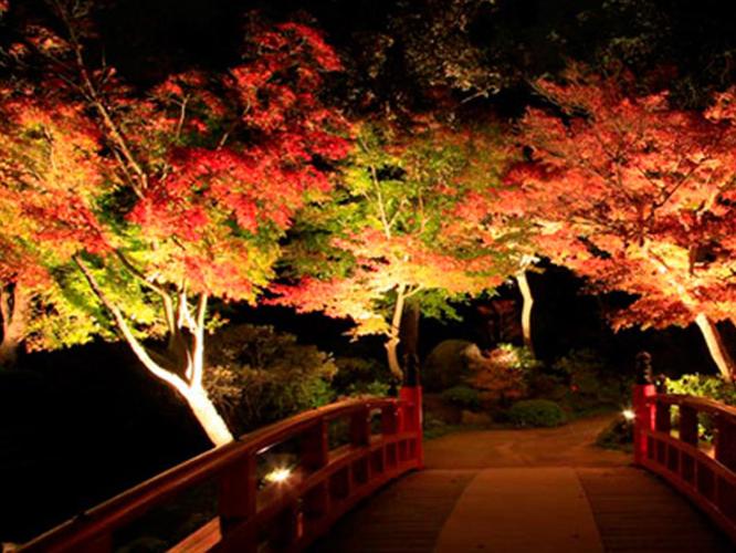 ■由志園　毎年1万人近くが来園！秋の夜間ライトアップ。