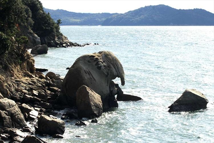 写真提供：岡山県観光連盟