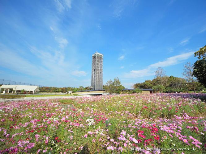 ＜浜名湖ガーデンパーク＞1300本の桜と50万球のチューリップ、720品種・100万本の花菖蒲が見どころ。