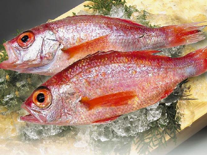 ■のどくろ■ひとくちで広がる濃厚な旨みと、口の中でとろける上質な脂が魅力