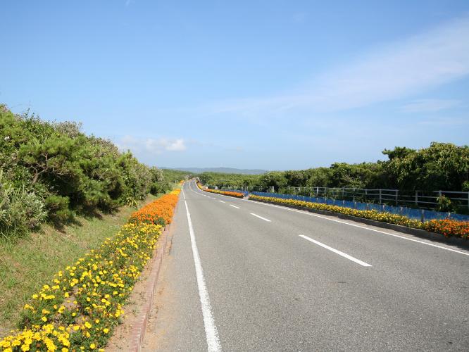 房総フラワーライン≪伊戸〜相浜までの約6kmは「日本の道百選」に認定されています！ ≫