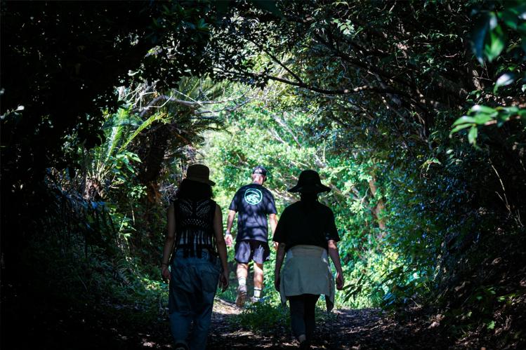 Miru Amami ネイチャーツアー