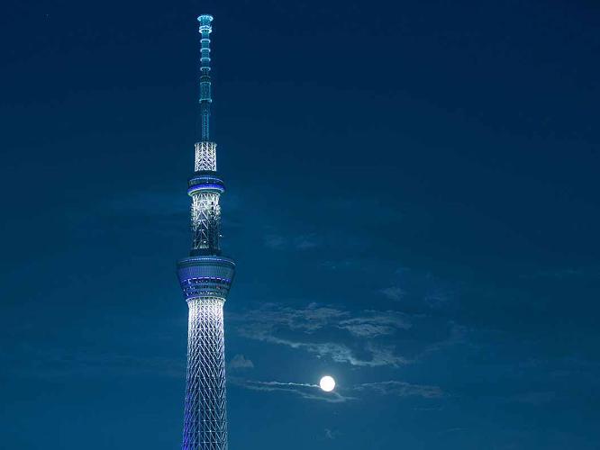 T-terraceからのお月さま
