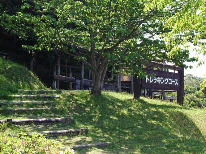 ＜トレッキングコース＞鳥のさえずりに耳を傾けたり、芝生のや木々の緑、季節の花を眺めたり。自然に彩られた散策路です。