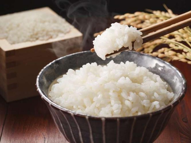 【朝食】京都府亀岡市で生産されたキヌヒカリを使用