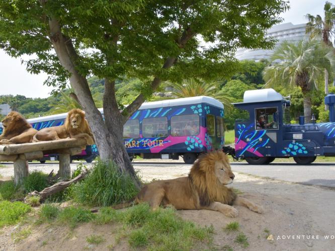 アドベンチャーワールド（当館からお車で約15分）