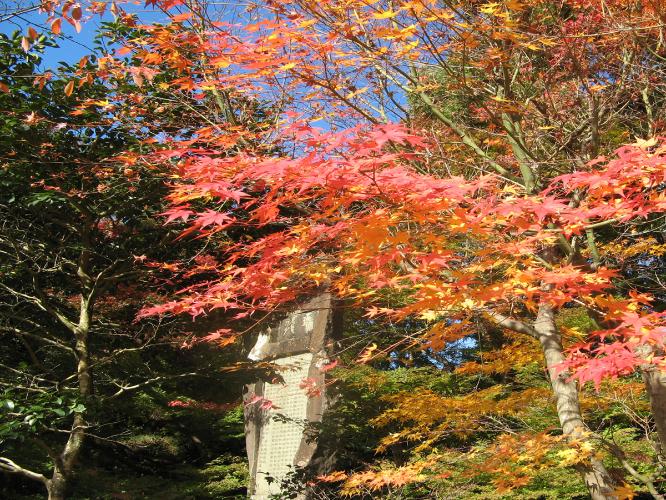 南禅寺の紅葉≪当館から徒歩で約10分≫