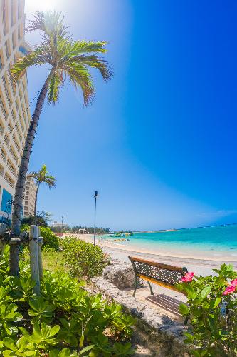 ビーチ海岸