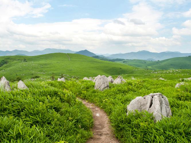 秋吉台（湯本温泉から車で40分）