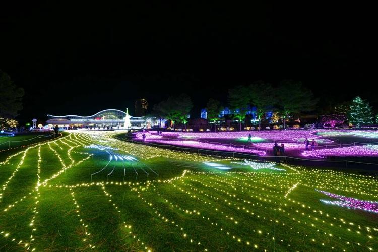 宮崎県観光協会　フローランテ宮崎(2)　写真提供：宮崎県観光協会