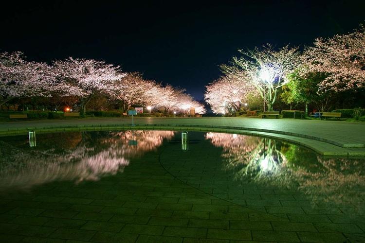 宮崎県観光協会　久峰総合公園　写真提供：宮崎県観光協会