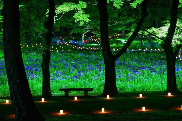 宮崎県観光協会　市民の森公園　写真提供：宮崎県観光協会