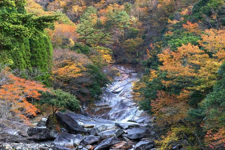 宮崎県観光協会　鹿川渓谷　写真提供：宮崎県観光協会