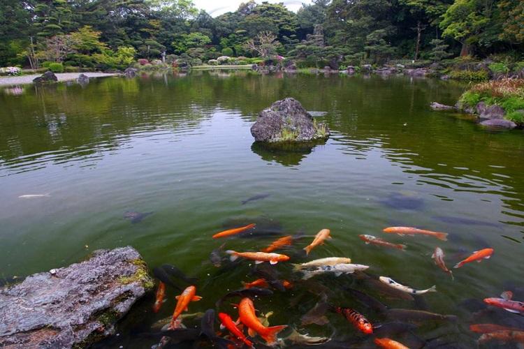 宮崎県観光協会　日向景修園　写真提供：宮崎県観光協会