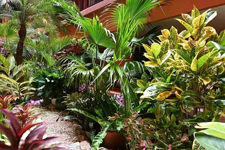 ミニ植物園
