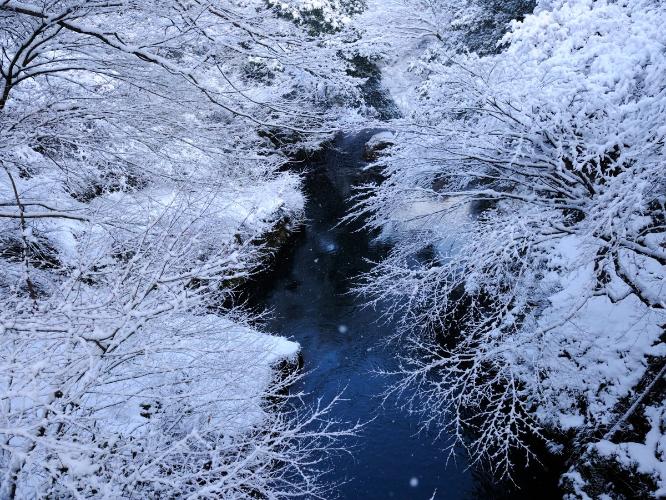 冬景色の美しい大聖寺川。四季の装いに包まれた大聖寺川を、すべての客室からご覧いただけます。