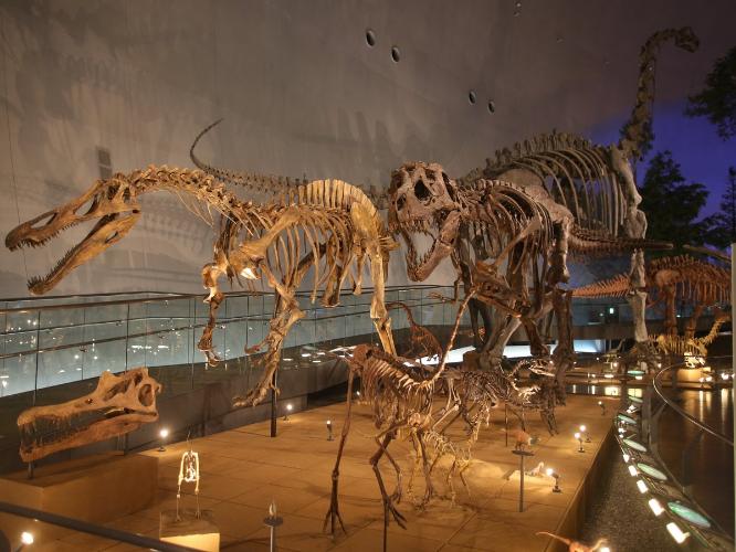 恐竜をテーマにした博物館としては日本最大の規模を誇り、世界三大恐竜博物館の1つとなっています。