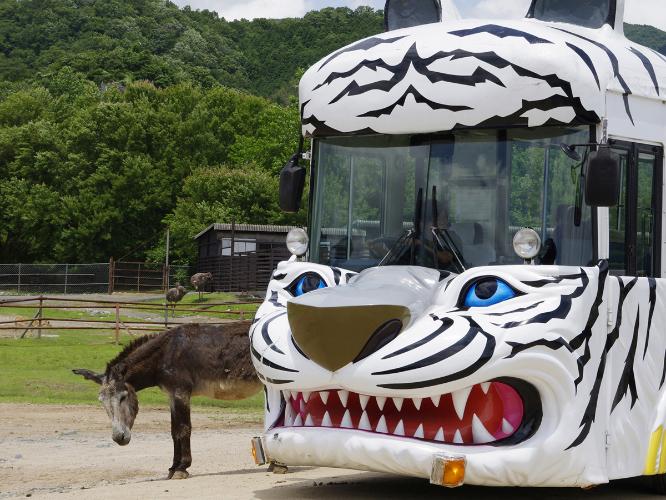 入園券付プランあり☆秋吉台サファリランド（湯本温泉から車で約30分）