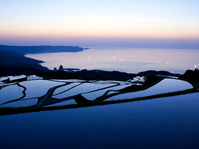 青海島の透明度の高い海で夏の思い出つくり！