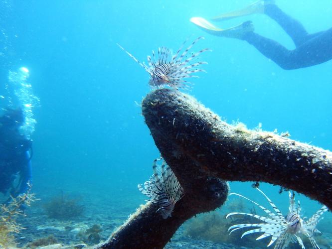 秋吉台（湯本温泉から車で40分）