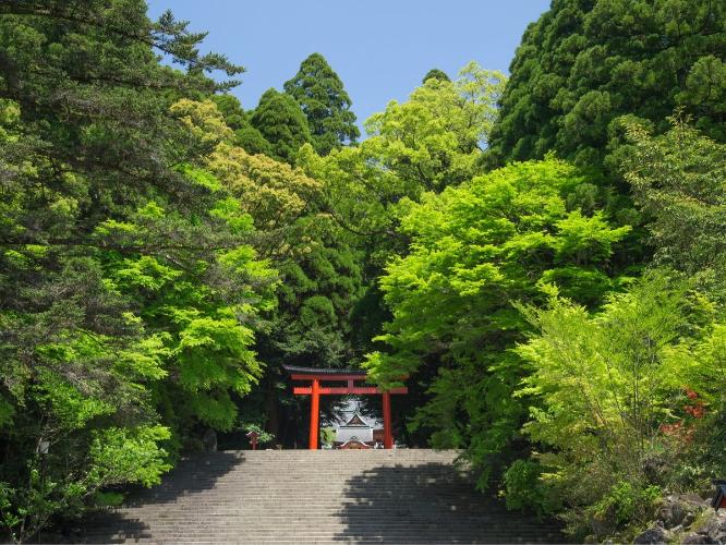 南九州最大の神宮、霧島神宮へは車で６分の距離です※画像はイメージです。