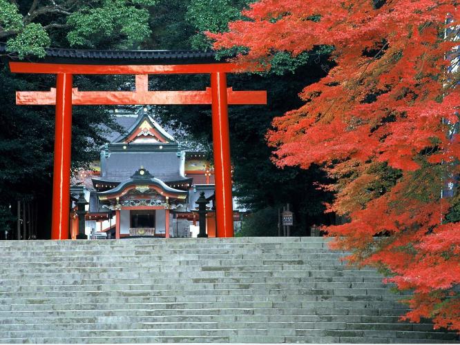 霧島神宮　紅葉の季節　※写真はイメージです。