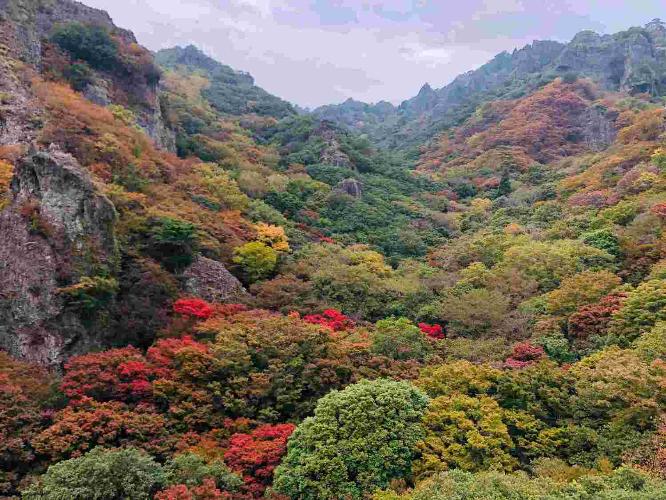 秋の寒霞渓